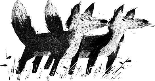 Иллюстрация к книге — Пакс. Дорога домой [i_019.jpg]