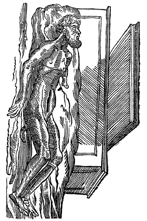 Иллюстрация к книге — Цвет. Захватывающее путешествие по оттенкам палитры [i_008.jpg]