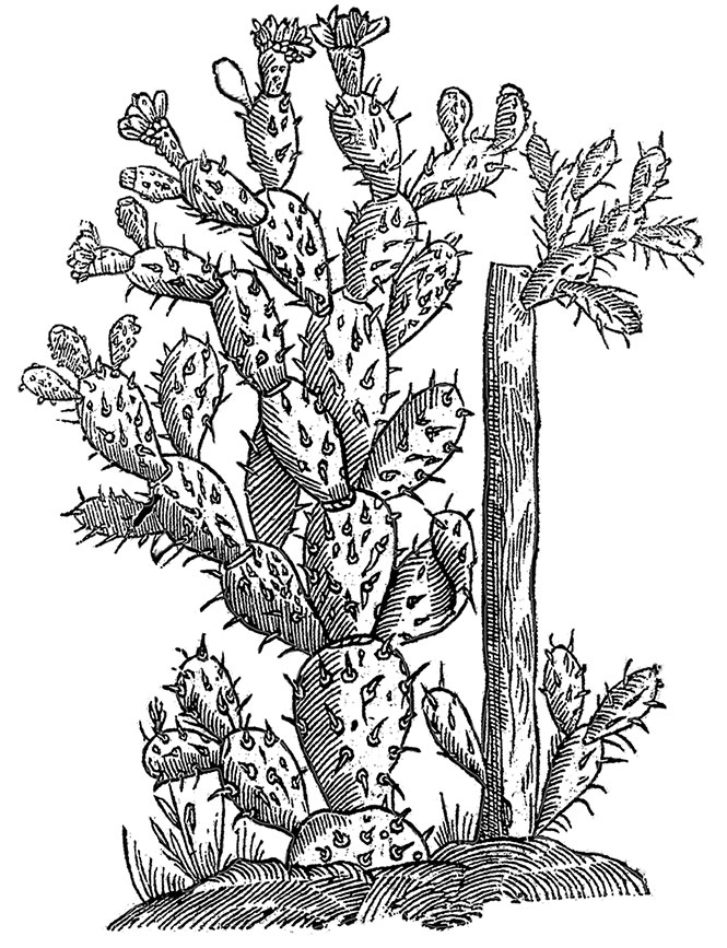 Иллюстрация к книге — Цвет. Захватывающее путешествие по оттенкам палитры [i_010.jpg]