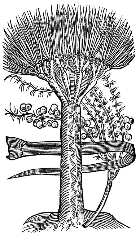 Иллюстрация к книге — Цвет. Захватывающее путешествие по оттенкам палитры [i_014.jpg]