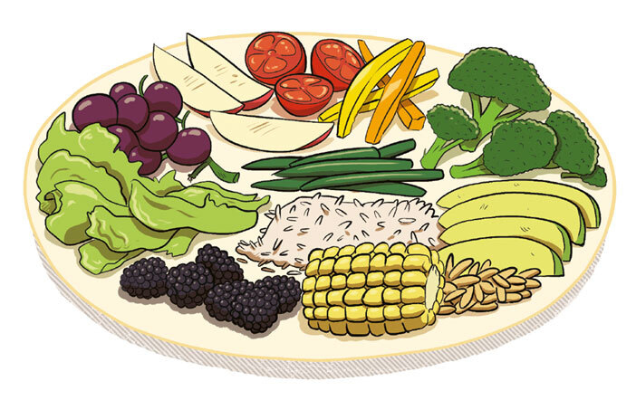 Иллюстрация к книге — Как устроены мальчики. О переменах в росте, весе, голосе, а также о гигиене и питании [i_023.jpg]