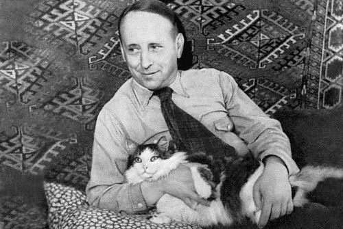 Иллюстрация к книге — Тень. Голый король [i_001.jpg]