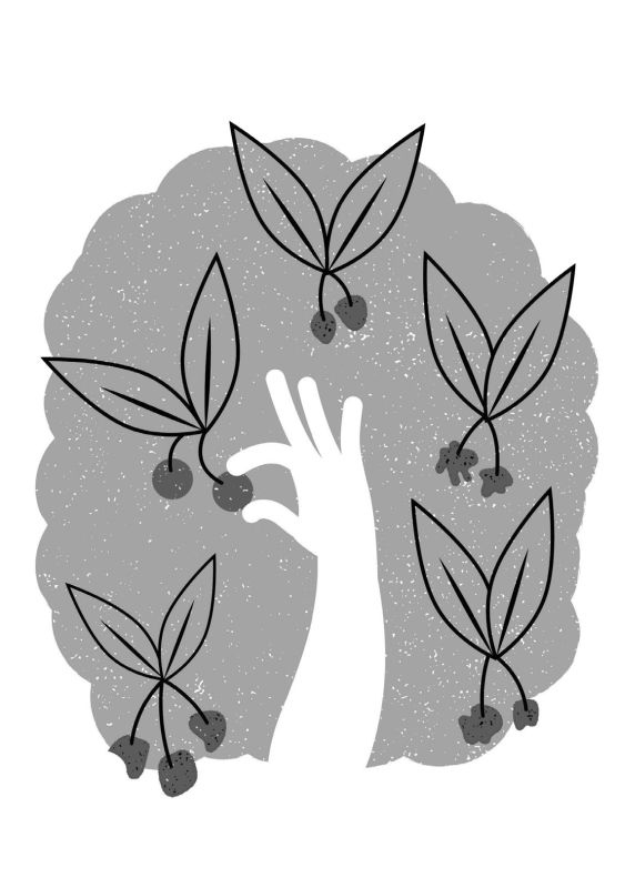 Иллюстрация к книге — Убеждай и побеждай! Гайд по безукоризненной риторике и железной логике [i_045.jpg]