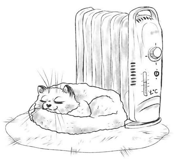 Иллюстрация к книге — На одном языке с кошкой [i_005.jpg]