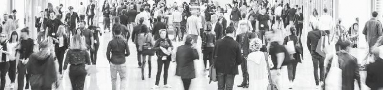 Иллюстрация к книге — На одном языке с кошкой [i_009.jpg]