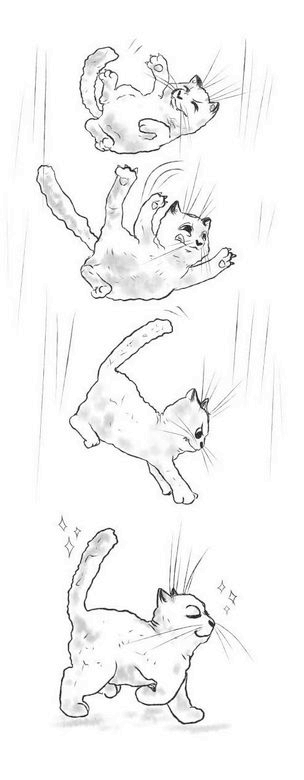 Иллюстрация к книге — На одном языке с кошкой [i_015.jpg]