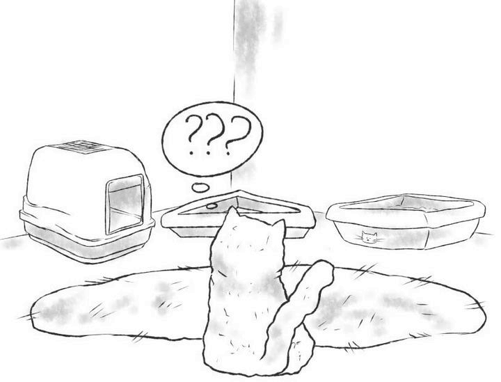 Иллюстрация к книге — На одном языке с кошкой [i_019.jpg]