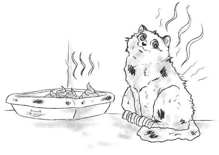 Иллюстрация к книге — На одном языке с кошкой [i_020.jpg]