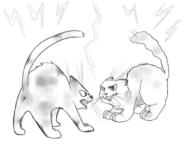 Иллюстрация к книге — На одном языке с кошкой [i_024.jpg]