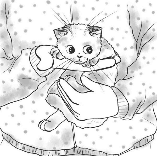 Иллюстрация к книге — На одном языке с кошкой [i_025.jpg]