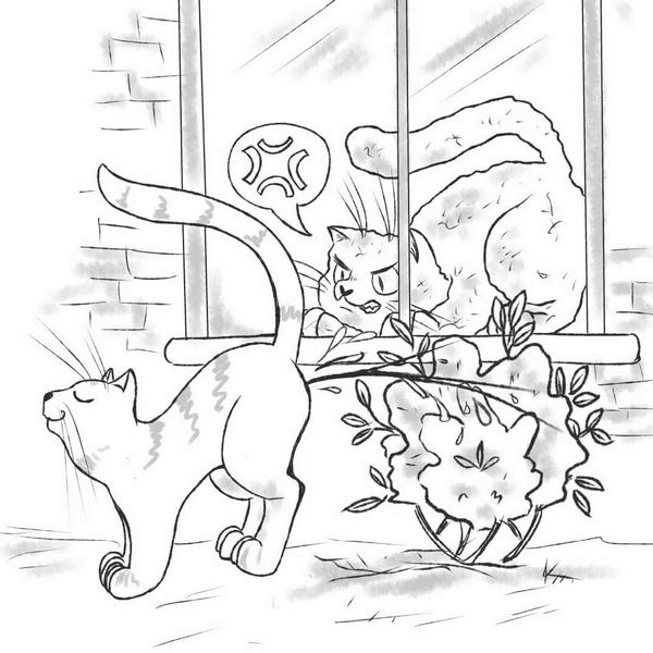 Иллюстрация к книге — На одном языке с кошкой [i_030.jpg]