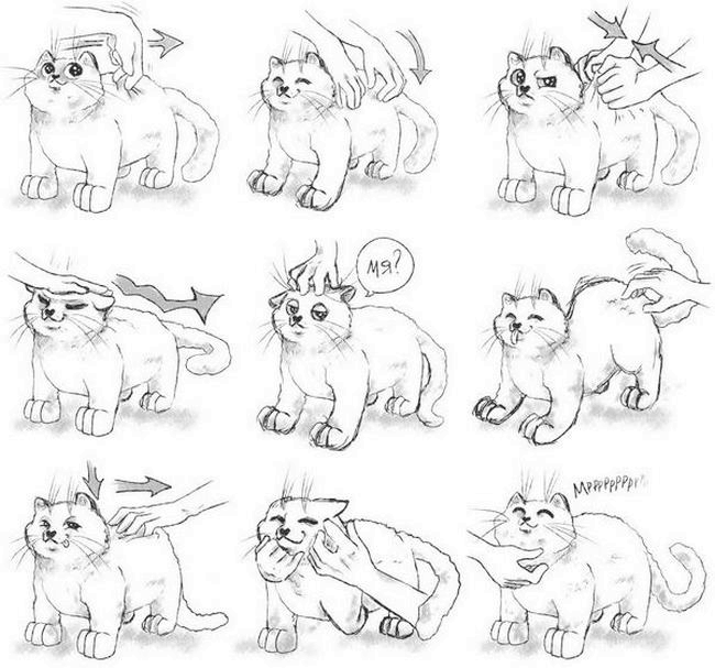 Иллюстрация к книге — На одном языке с кошкой [i_031.jpg]