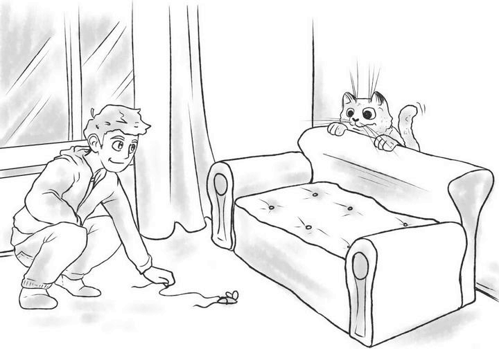 Иллюстрация к книге — На одном языке с кошкой [i_032.jpg]