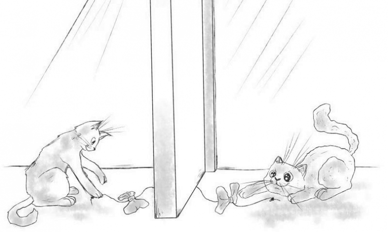 Иллюстрация к книге — На одном языке с кошкой [i_040.jpg]