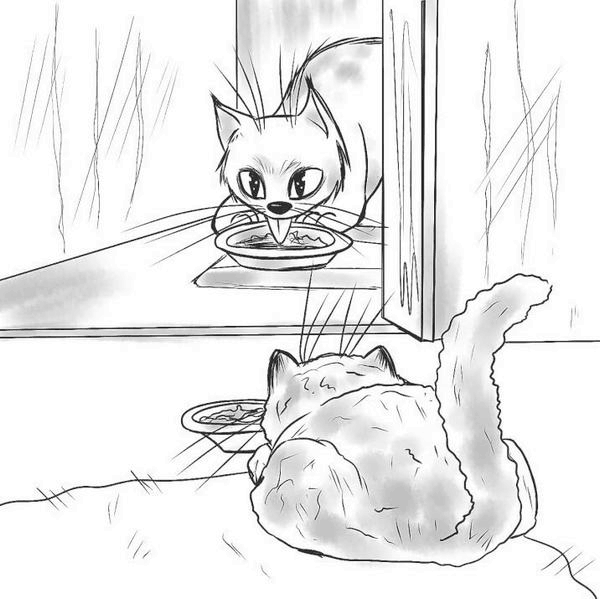 Иллюстрация к книге — На одном языке с кошкой [i_041.jpg]