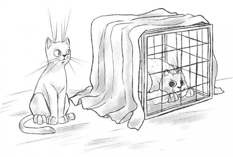 Иллюстрация к книге — На одном языке с кошкой [i_042.jpg]