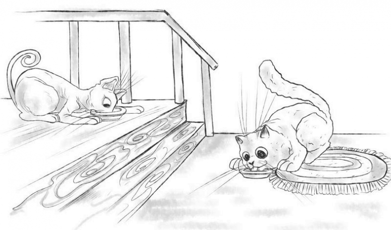 Иллюстрация к книге — На одном языке с кошкой [i_044.jpg]