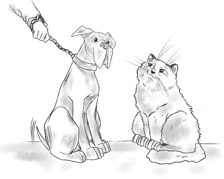 Иллюстрация к книге — На одном языке с кошкой [i_045.jpg]