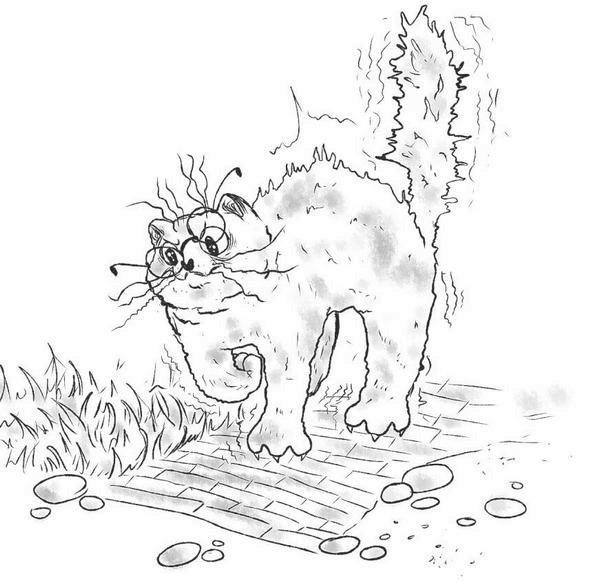 Иллюстрация к книге — На одном языке с кошкой [i_049.jpg]