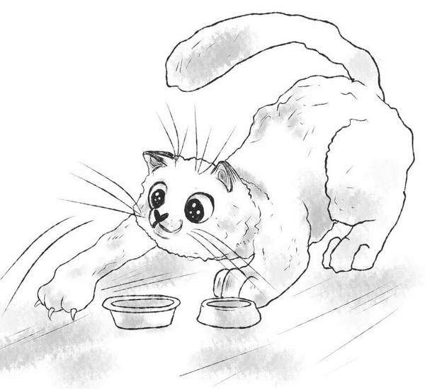 Иллюстрация к книге — На одном языке с кошкой [i_052.jpg]