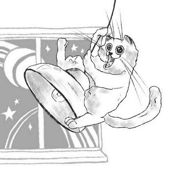 Иллюстрация к книге — На одном языке с кошкой [i_061.jpg]