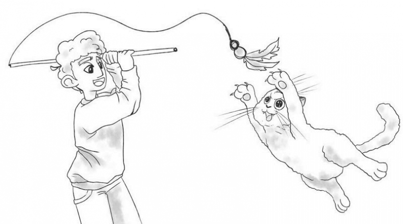 Иллюстрация к книге — На одном языке с кошкой [i_062.jpg]