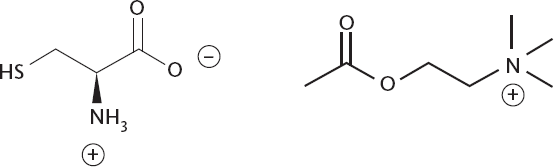 Иллюстрация к книге — Химия навсегда. О гороховом супе, опасности утреннего кофе и пробе мистера Марша [i_040.jpg]