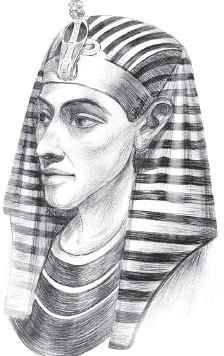 Иллюстрация к книге — Империя. Книга 1 [i_017.jpg]