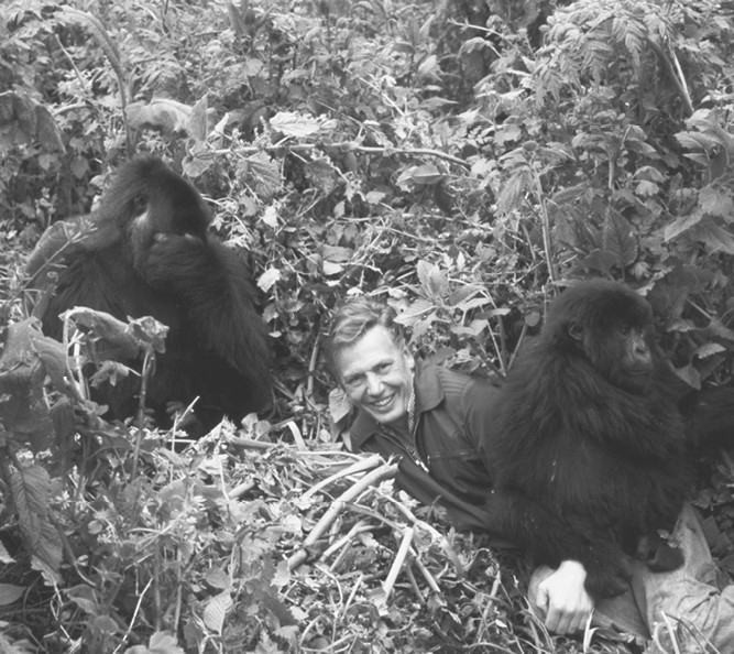 Иллюстрация к книге — Жизнь на нашей планете. Мое предупреждение миру на грани катастрофы [i_013.jpg]