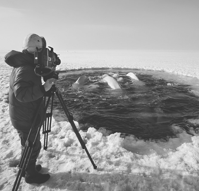 Иллюстрация к книге — Жизнь на нашей планете. Мое предупреждение миру на грани катастрофы [i_016.jpg]