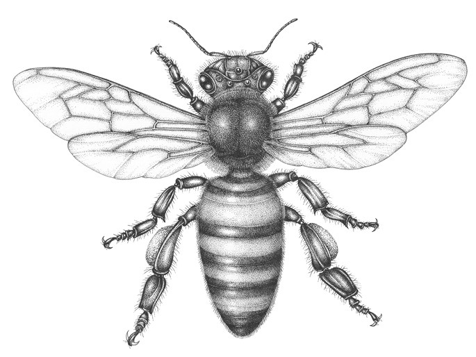 Иллюстрация к книге — Жизнь на нашей планете. Мое предупреждение миру на грани катастрофы [i_023.jpg]