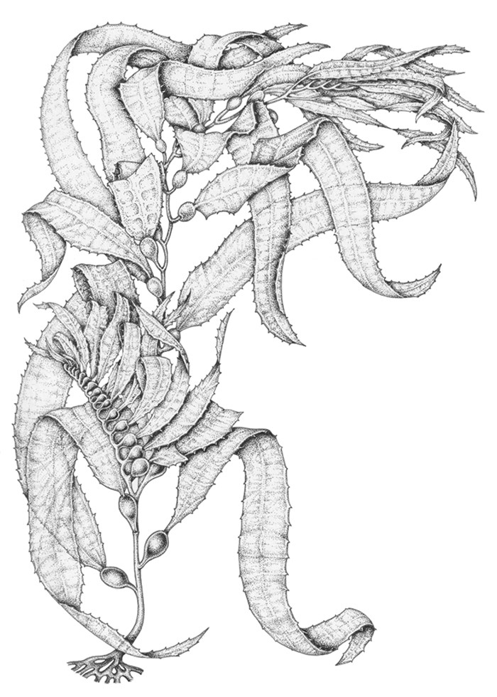 Иллюстрация к книге — Жизнь на нашей планете. Мое предупреждение миру на грани катастрофы [i_027.jpg]