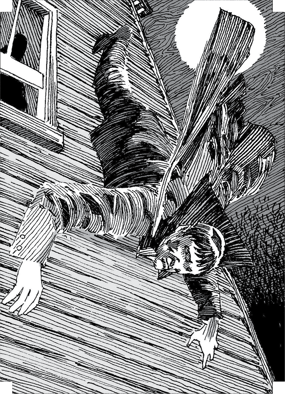 Иллюстрация к книге — Особняк с привидениями. Том 2. Полночь у мадам Леоты [i_013.jpg]