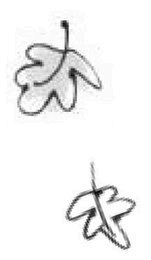 Иллюстрация к книге — Подорожник [i_035.jpg]