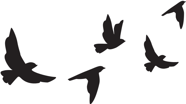 Иллюстрация к книге — Мужской фактор. Почему снижается качество спермы и как остановить этот процесс? [i_004.jpg]