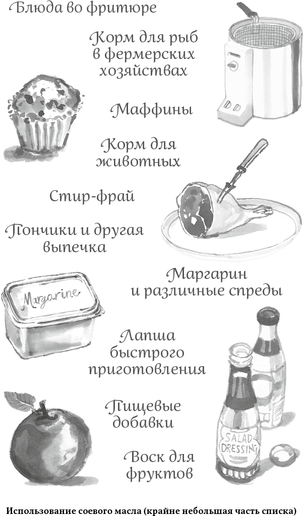 Иллюстрация к книге — Как мы едим [i_006.jpg]