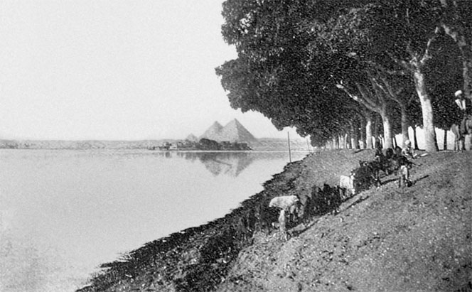 Иллюстрация к книге — История Египта c древнейших времен до персидского завоевания [i_006.jpg]