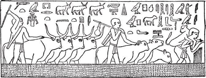 Иллюстрация к книге — История Египта c древнейших времен до персидского завоевания [i_042.jpg]