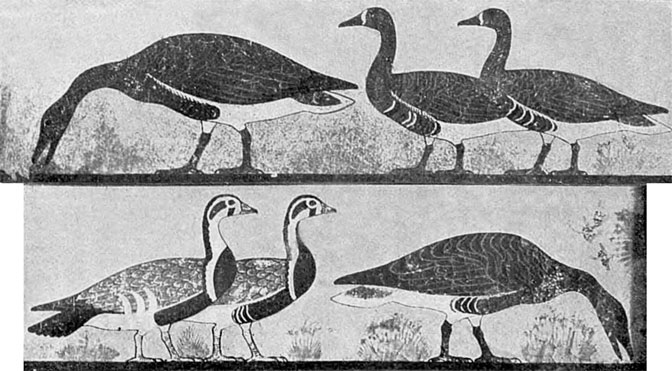 Иллюстрация к книге — История Египта c древнейших времен до персидского завоевания [i_057.jpg]