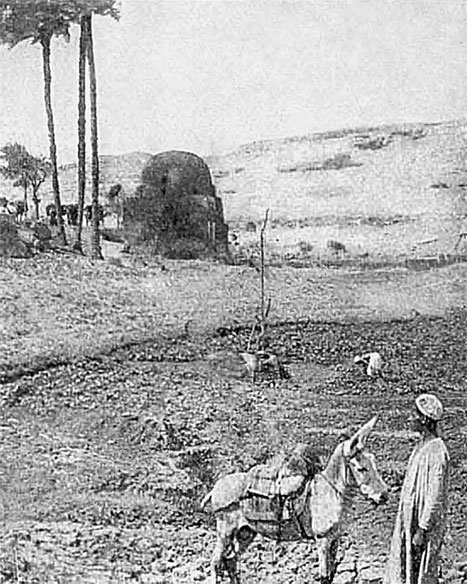 Иллюстрация к книге — История Египта c древнейших времен до персидского завоевания [i_076.jpg]