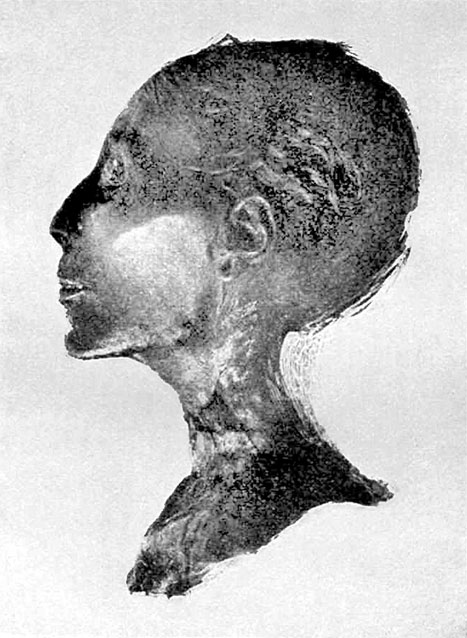 Иллюстрация к книге — История Египта c древнейших времен до персидского завоевания [i_113.jpg]