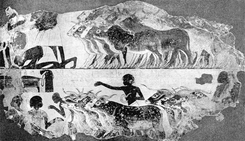 Иллюстрация к книге — История Египта c древнейших времен до персидского завоевания [i_133.jpg]