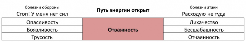 Иллюстрация к книге — ЧЕЛОВЕК: руководство по эксплуатации [_14.jpg]