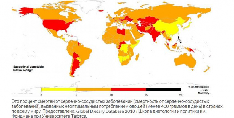 Иллюстрация к книге — Продукты здоровья и долголетия [_2.jpg]