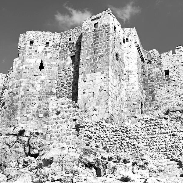 Иллюстрация к книге — Ассасины. Средневековый орден тайных убийц [i_001.jpg]