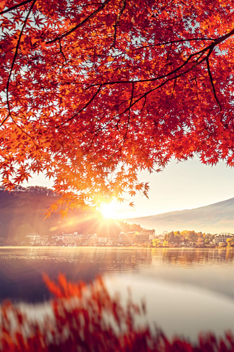 Иллюстрация к книге — Омоияри. Маленькая книга японской философии общения [i_007.jpg]