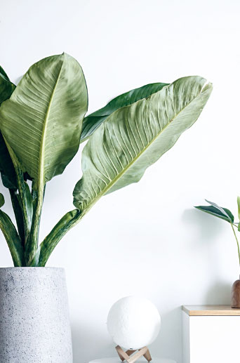 Иллюстрация к книге — Омоияри. Маленькая книга японской философии общения [i_029.jpg]