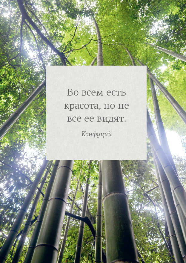 Иллюстрация к книге — Омоияри. Маленькая книга японской философии общения [i_051.jpg]