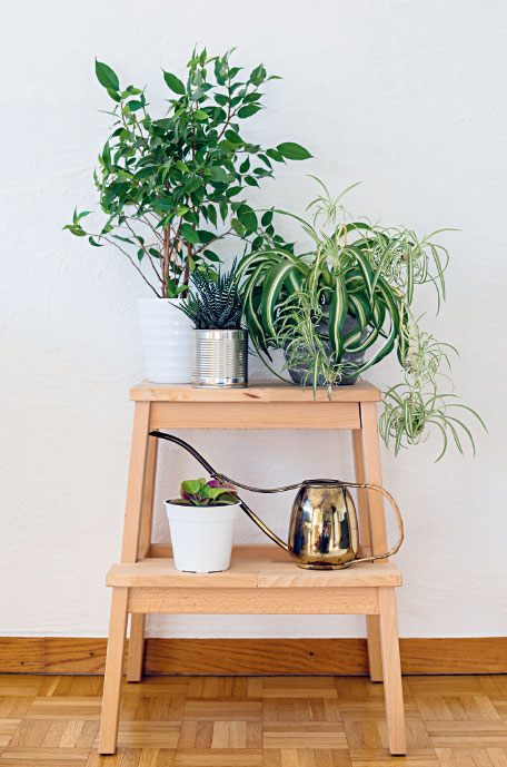 Иллюстрация к книге — Омоияри. Маленькая книга японской философии общения [i_058.jpg]