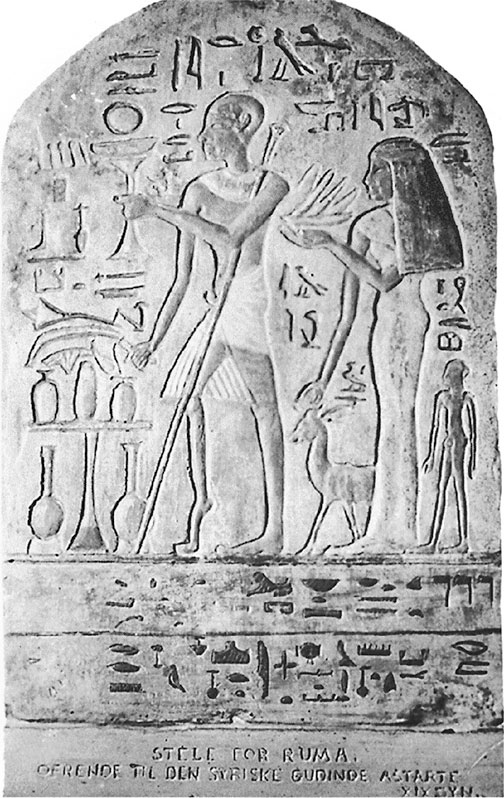 Иллюстрация к книге — Вирусы и эпидемии в истории мира. Прошлое, настоящее и будущее [i_016.jpg]